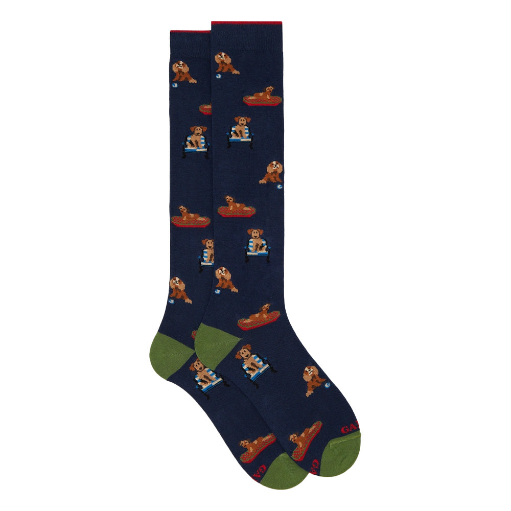 Gallo Lungo Fantasia Cani Reali