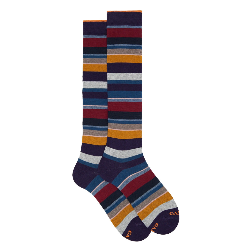 Long Rooster Multicolor Stripes