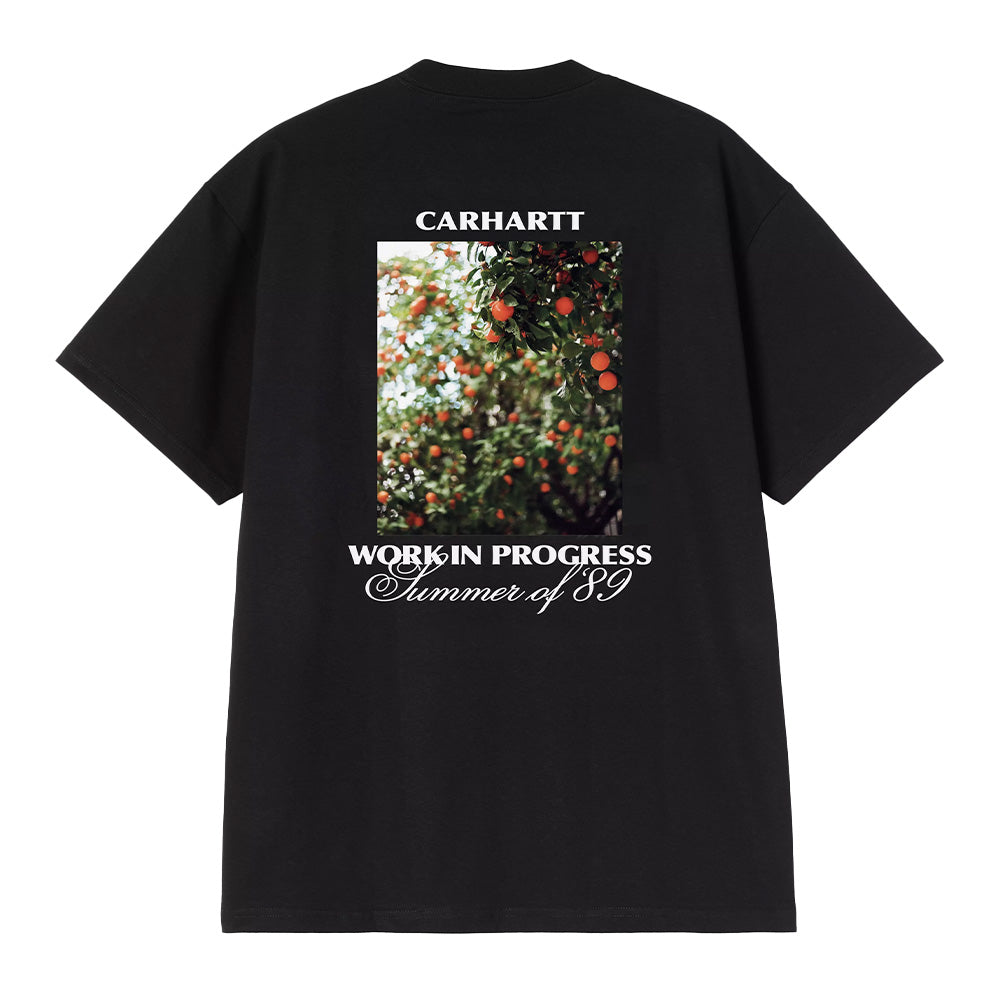 Carhartt Wip Warm Views T-Shirt