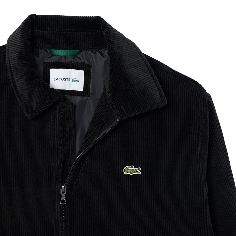 Lacoste Padded Corduroy Aviator Jacket