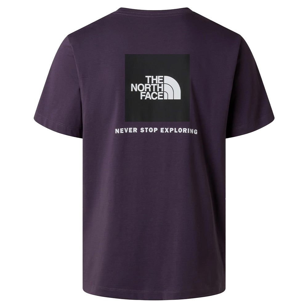 The North Face Evolution Box Regular Tee