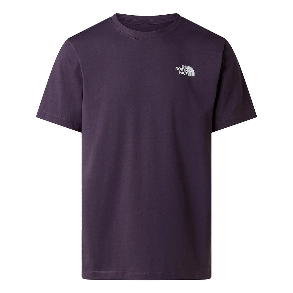 The North Face Evolution Box Regular Tee