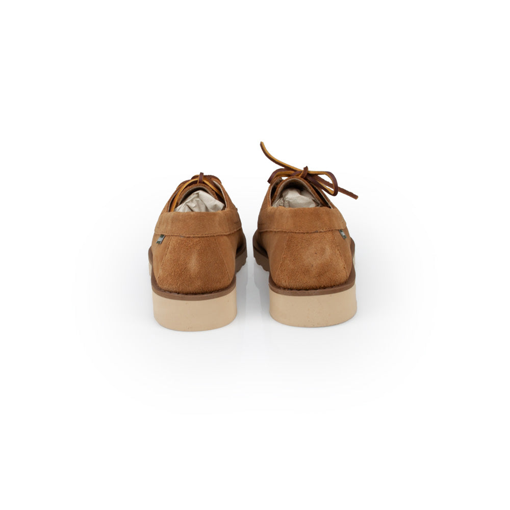 Sebago Askookfield Suede