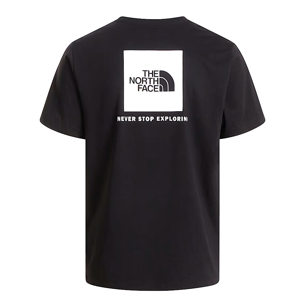 The North Face Evolution Box Regular Tee