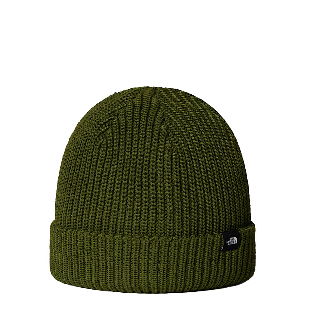 The-North-Face-Fisherman-Beanie-green.jpg